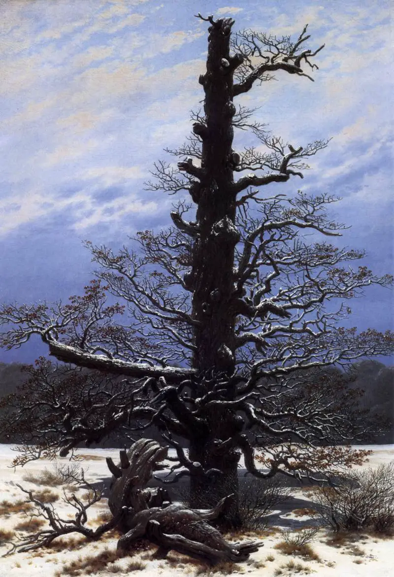 The Oak Tree in the Snow by Caspar David Friedrich